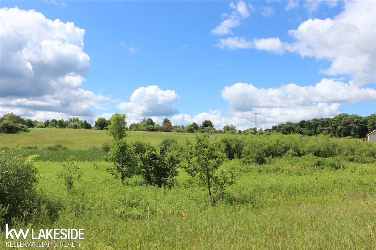0 Mack Road Leonard, MI 48367 - Photo 2 of 4