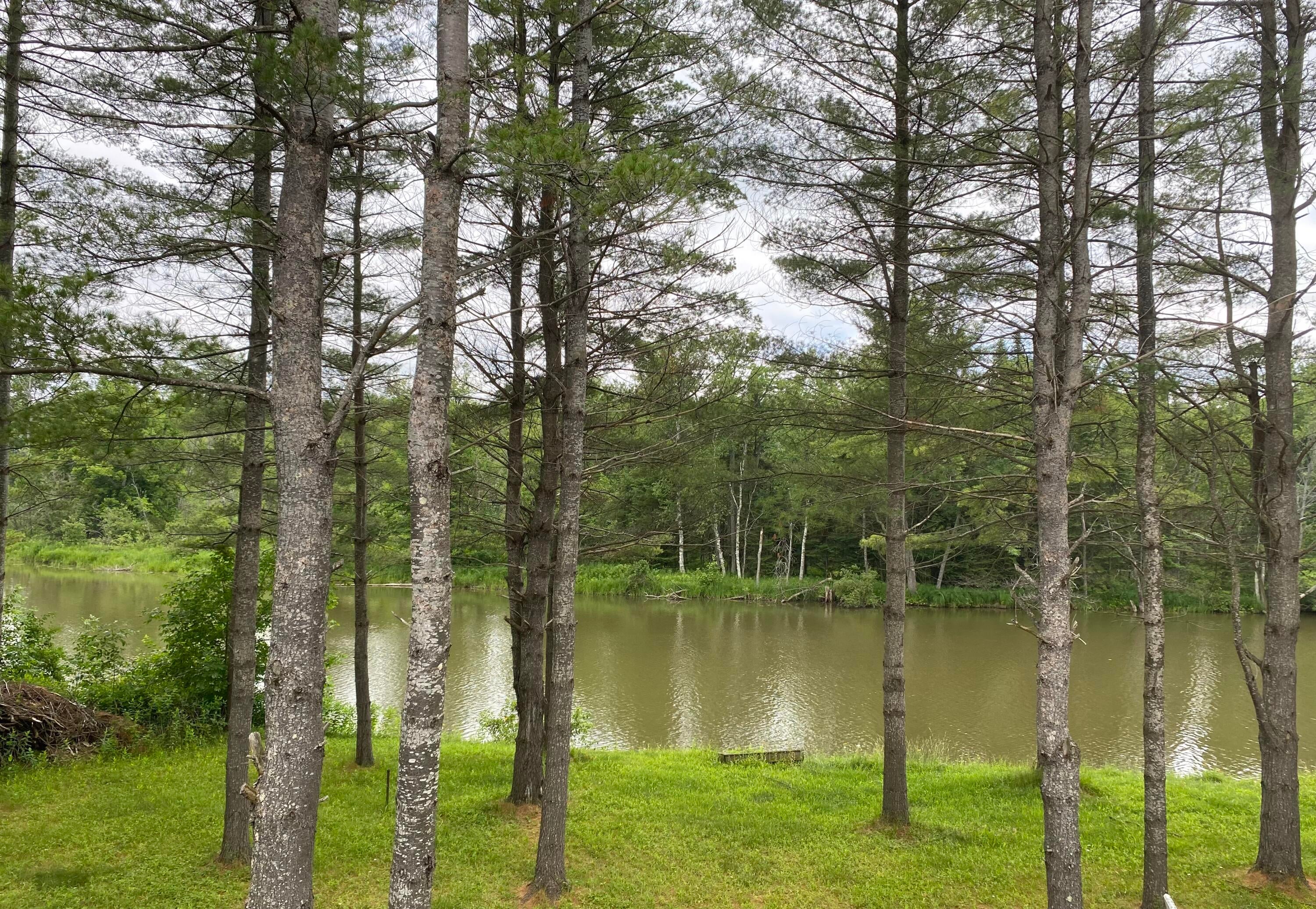 7715 Long Rapids Road Alpena, MI 49707 - Photo 11 of 33 Gallery Image 11