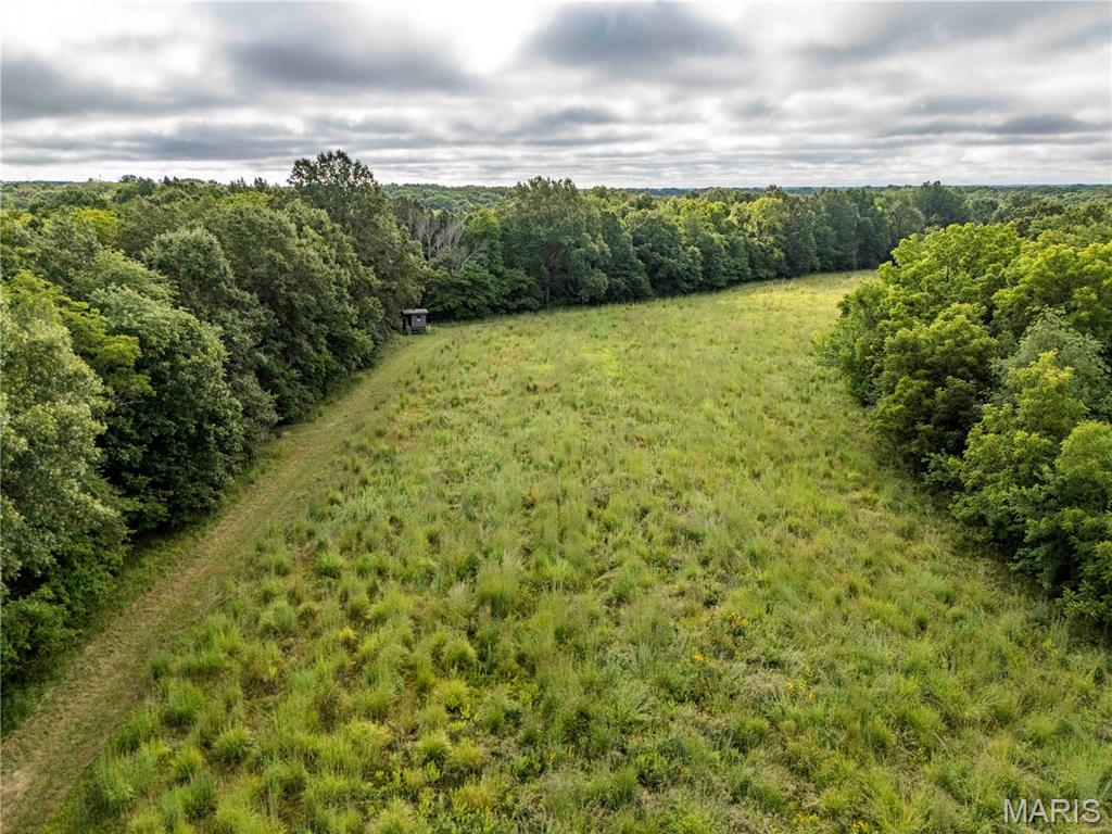 0 Terry Park Road Palmyra, IL 62674 - Photo 40 of 73 Gallery Image 40