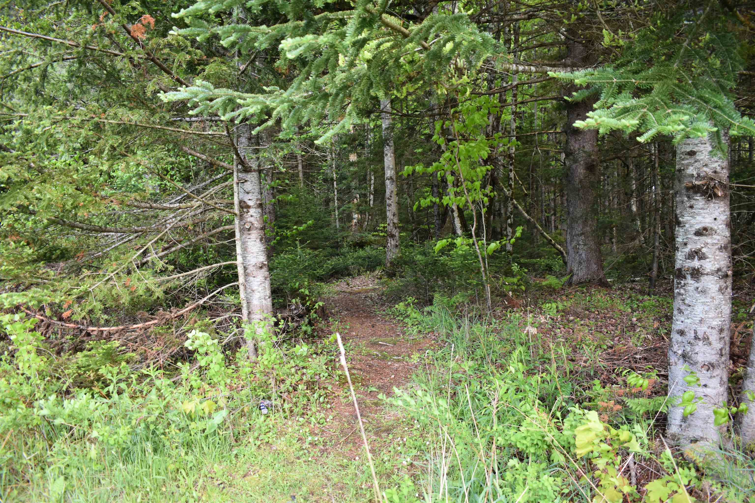 60 Hampshire Hill Road Worcester, VT 05682 - Photo 38 of 39