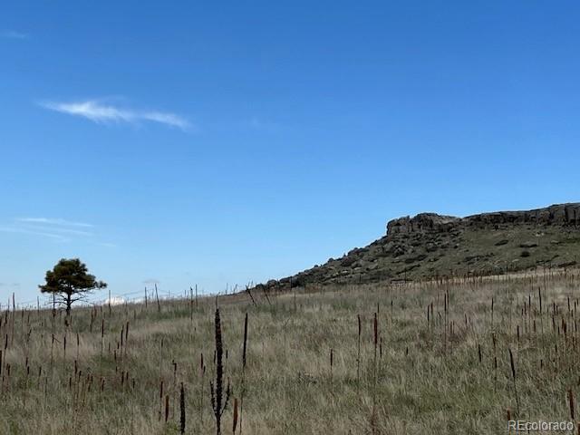 11977 Haskell Creek Road Larkspur, CO 80118 - Photo 22 of 29