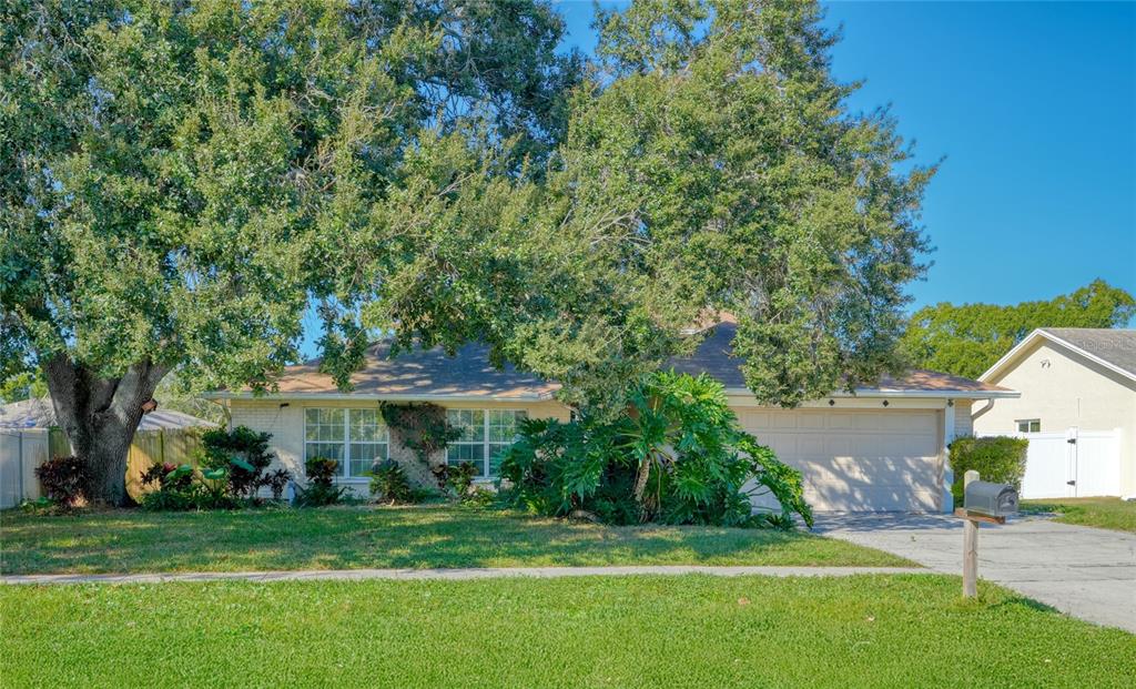 1432 Windmill Pointe Road Palm Harbor, FL 34685 - Photo 31 of 44 a view of a house with a yard