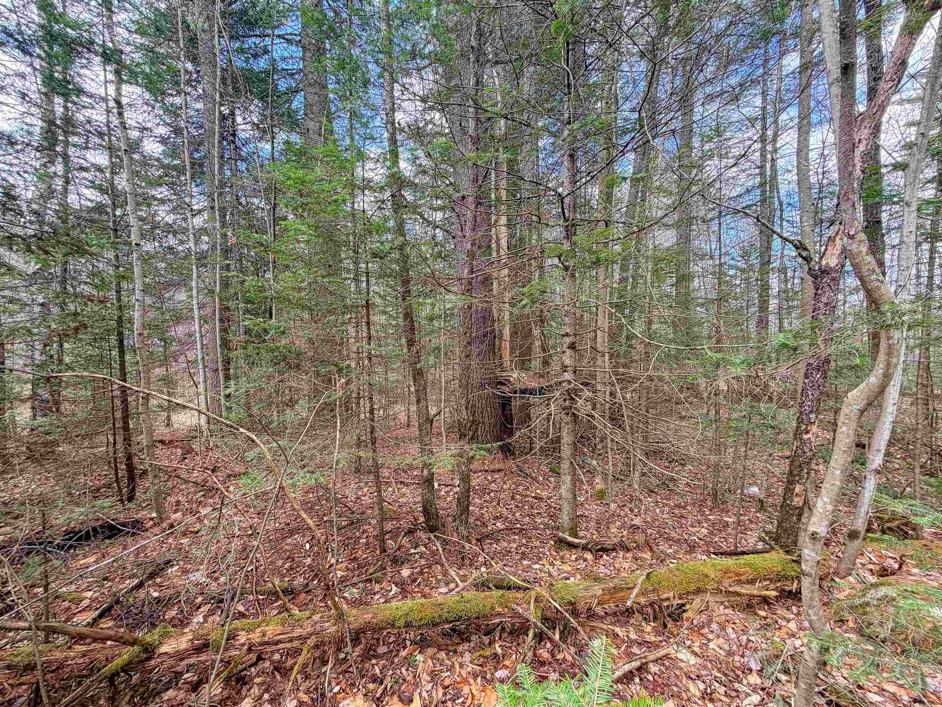 538 Oregon Road Concord, VT 05906 - Photo 7 of 13