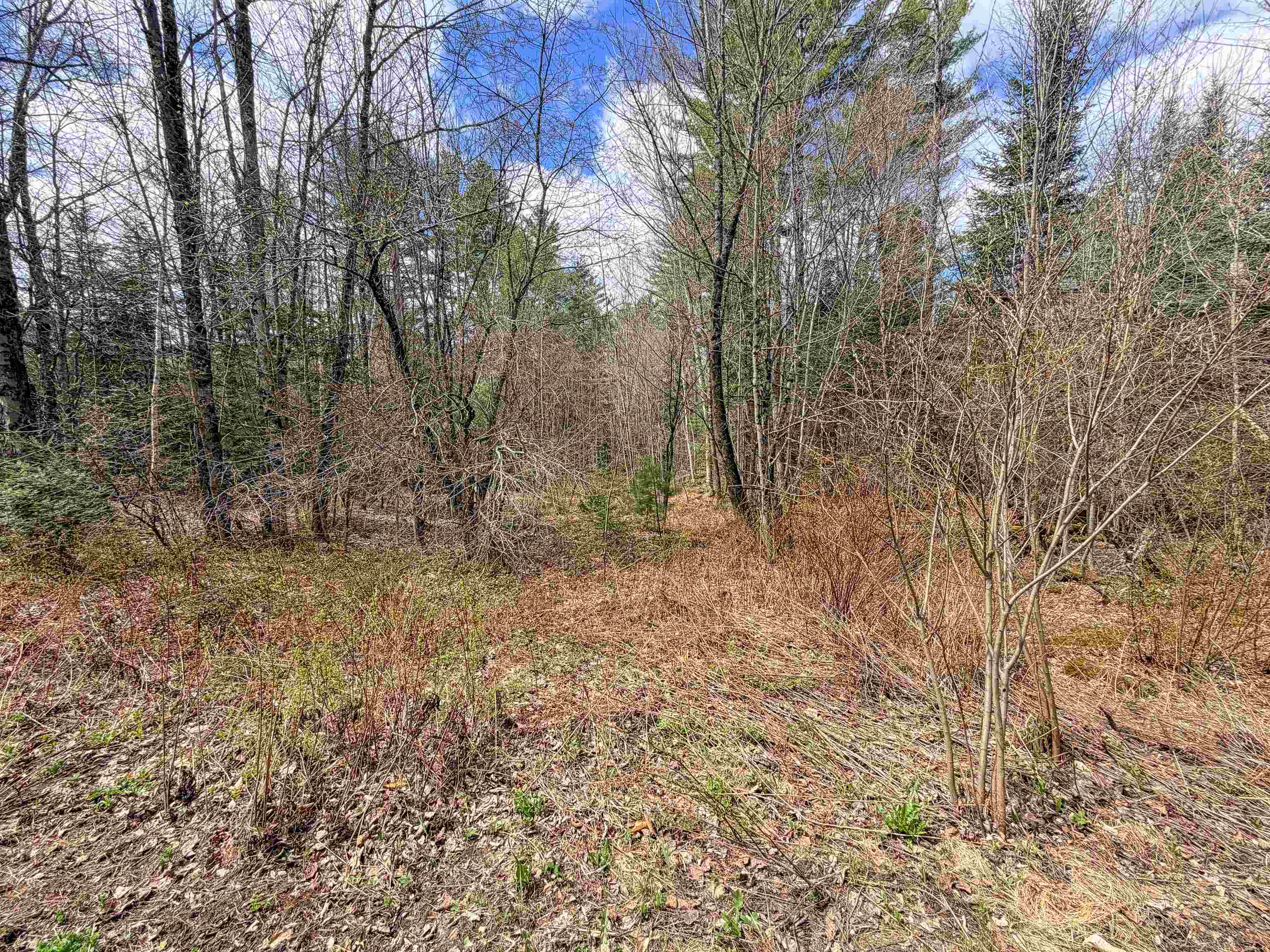 538 Oregon Road Concord, VT 05906 - Photo 8 of 13