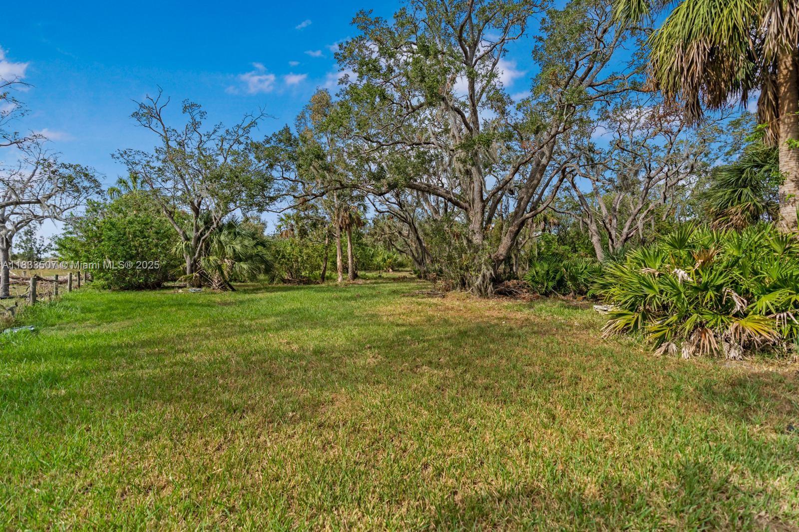 4836 Troydale Road Tampa, FL 33615 - Photo 48 of 52 a view of yard with green space