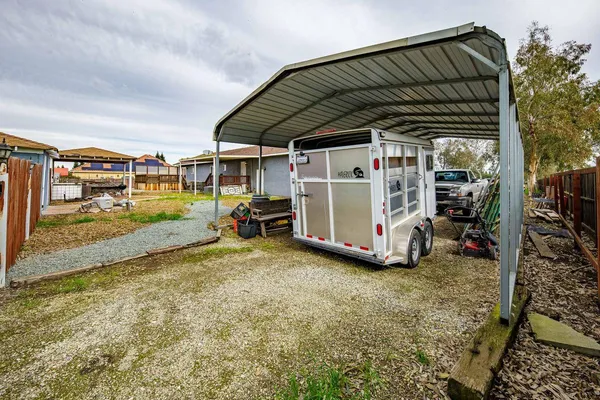 a view of a park with large trees
