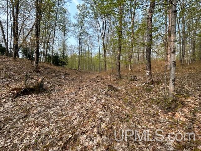 8 Old Co Road Negaunee, MI 49866 - Photo 7 of 14