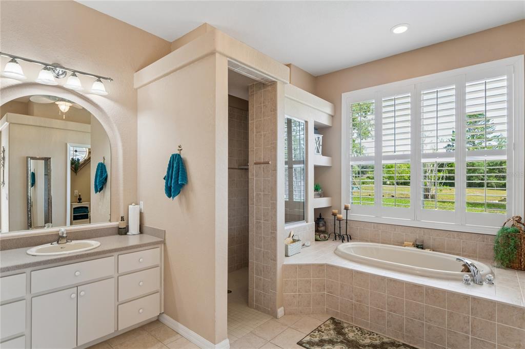 10120 Shortleaf Court Weeki Wachee, FL 34613 - Photo 36 of 95 a spacious bathroom with a tub and a large mirror