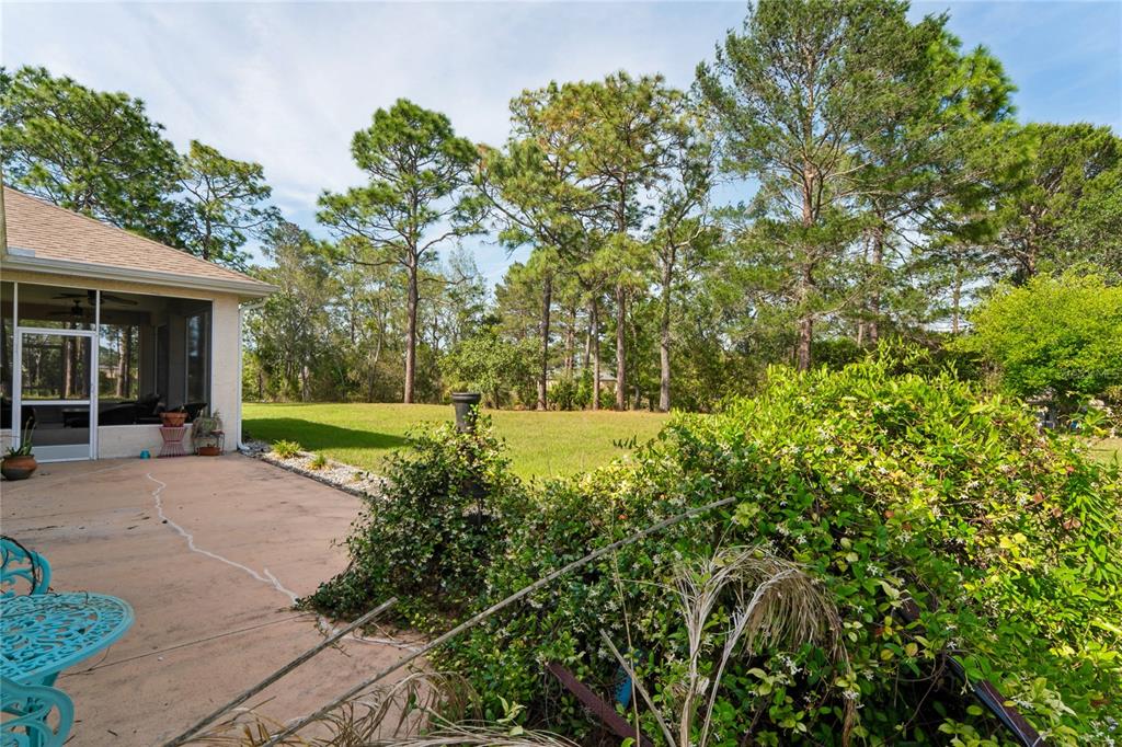 10120 Shortleaf Court Weeki Wachee, FL 34613 - Photo 77 of 95 a view of a yard with plants and large trees