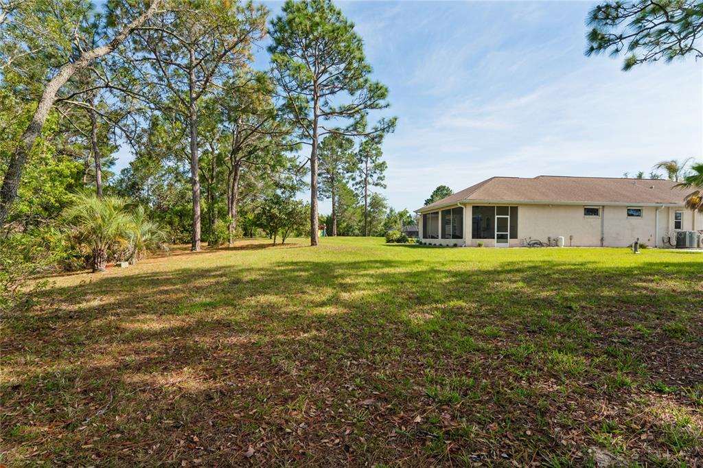 10120 Shortleaf Court Weeki Wachee, FL 34613 - Photo 81 of 95 a view of a house with a big yard