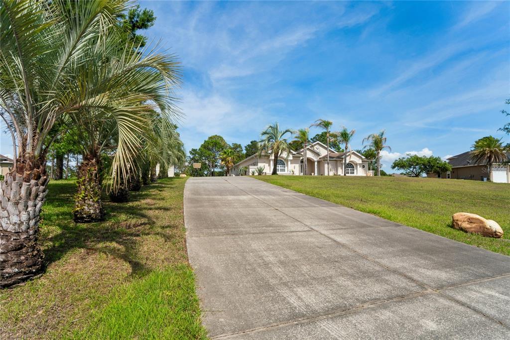 10120 Shortleaf Court Weeki Wachee, FL 34613 - Photo 83 of 95 a view of a garden with a building in the background