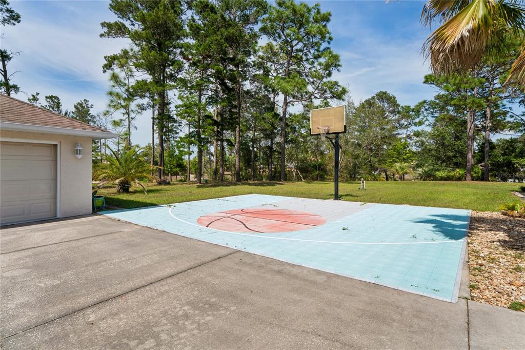 10120 Shortleaf Court Weeki Wachee, FL 34613 - Photo 88 of 95