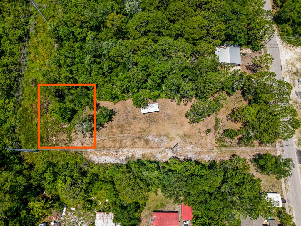 1103 Copacetic Road Carrabelle, FL 32322 - Photo 5 of 10