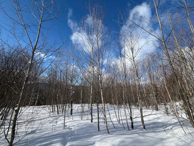 $99,500 | 3 High View Road, Warren, VT 05674