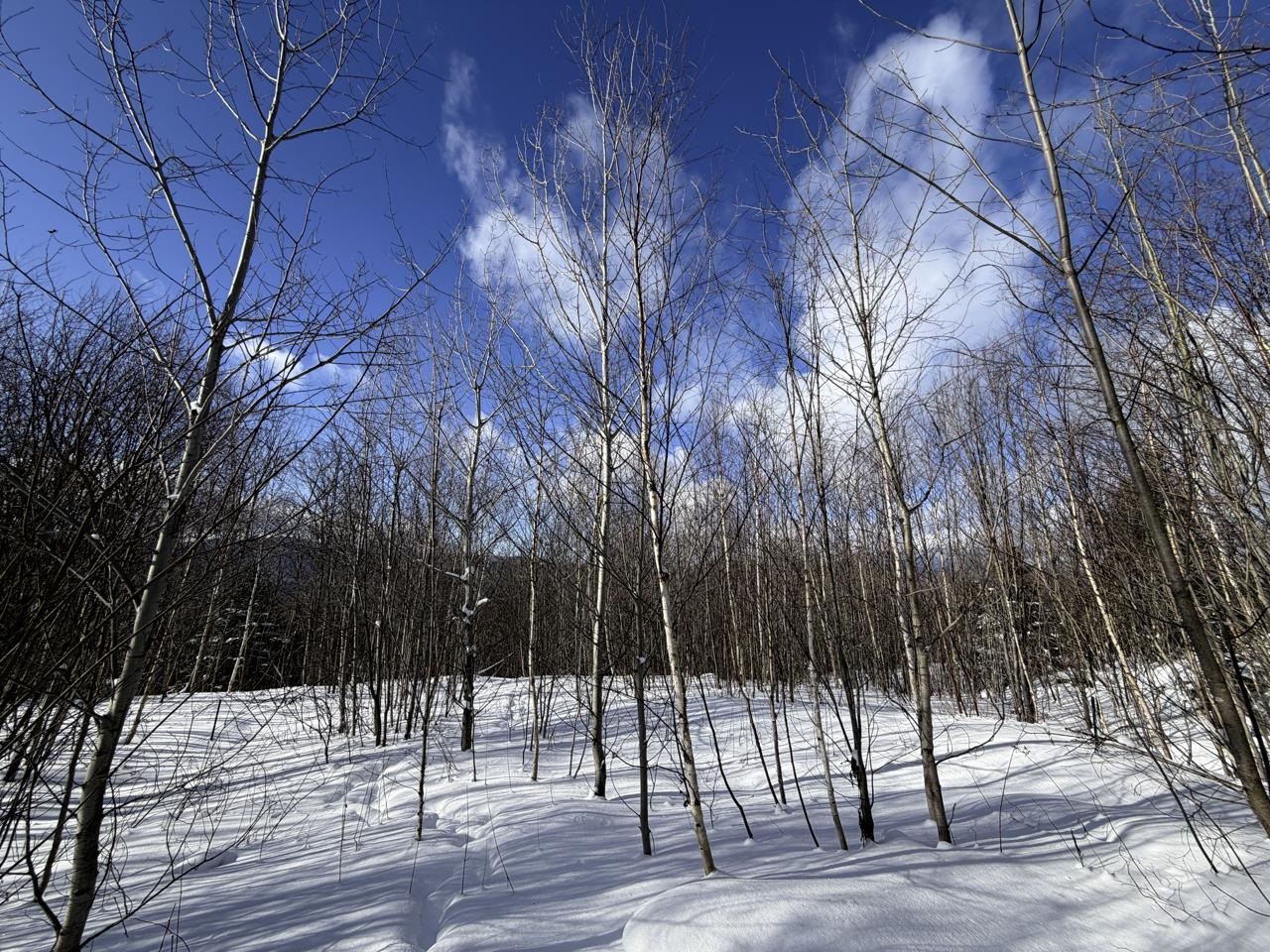 3 High View Road Warren, VT 05674 - Photo 11 of 59