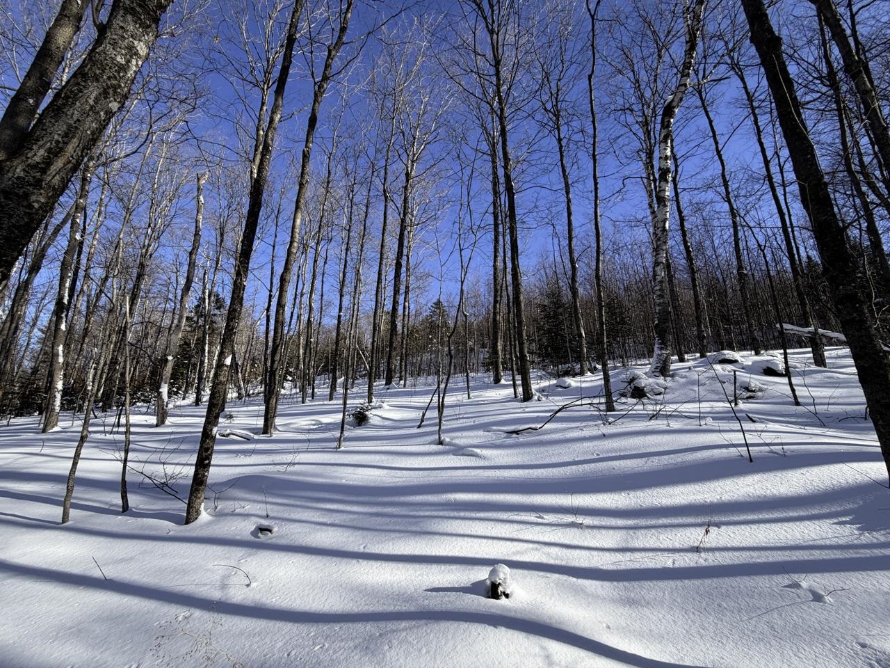 3 High View Road Warren, VT 05674 - Photo 13 of 59