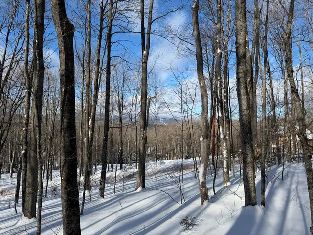 $99,500 | 3 High View Road, Warren, VT 05674