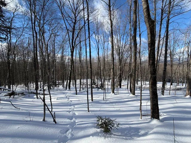 $99,500 | 3 High View Road, Warren, VT 05674