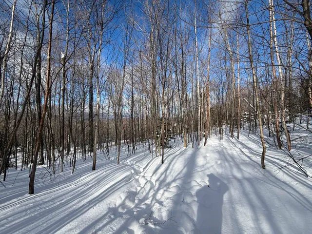 $99,500 | 3 High View Road, Warren, VT 05674