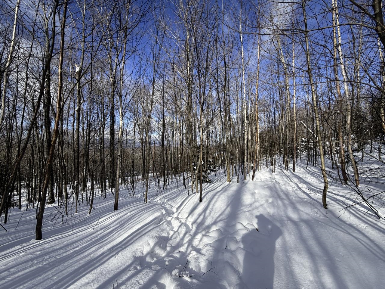 3 High View Road Warren, VT 05674 - Photo 16 of 59