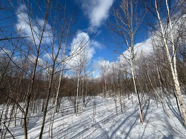 $99,500 | 3 High View Road, Warren, VT 05674