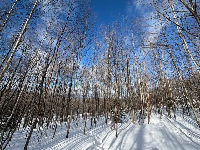 $99,500 | 3 High View Road, Warren, VT 05674