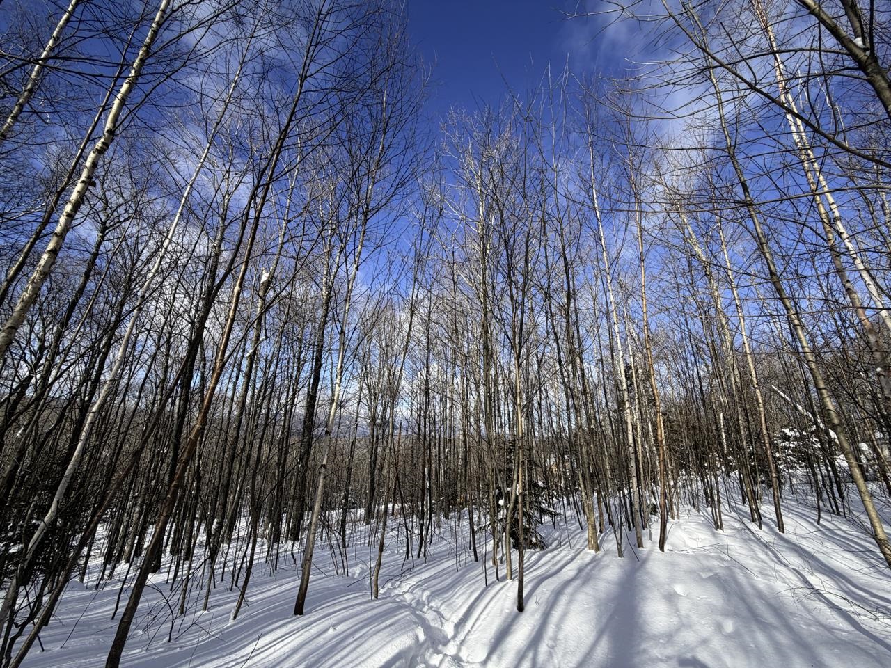 3 High View Road Warren, VT 05674 - Photo 18 of 59