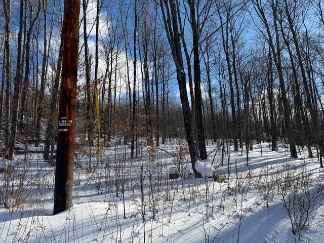 $99,500 | 3 High View Road, Warren, VT 05674