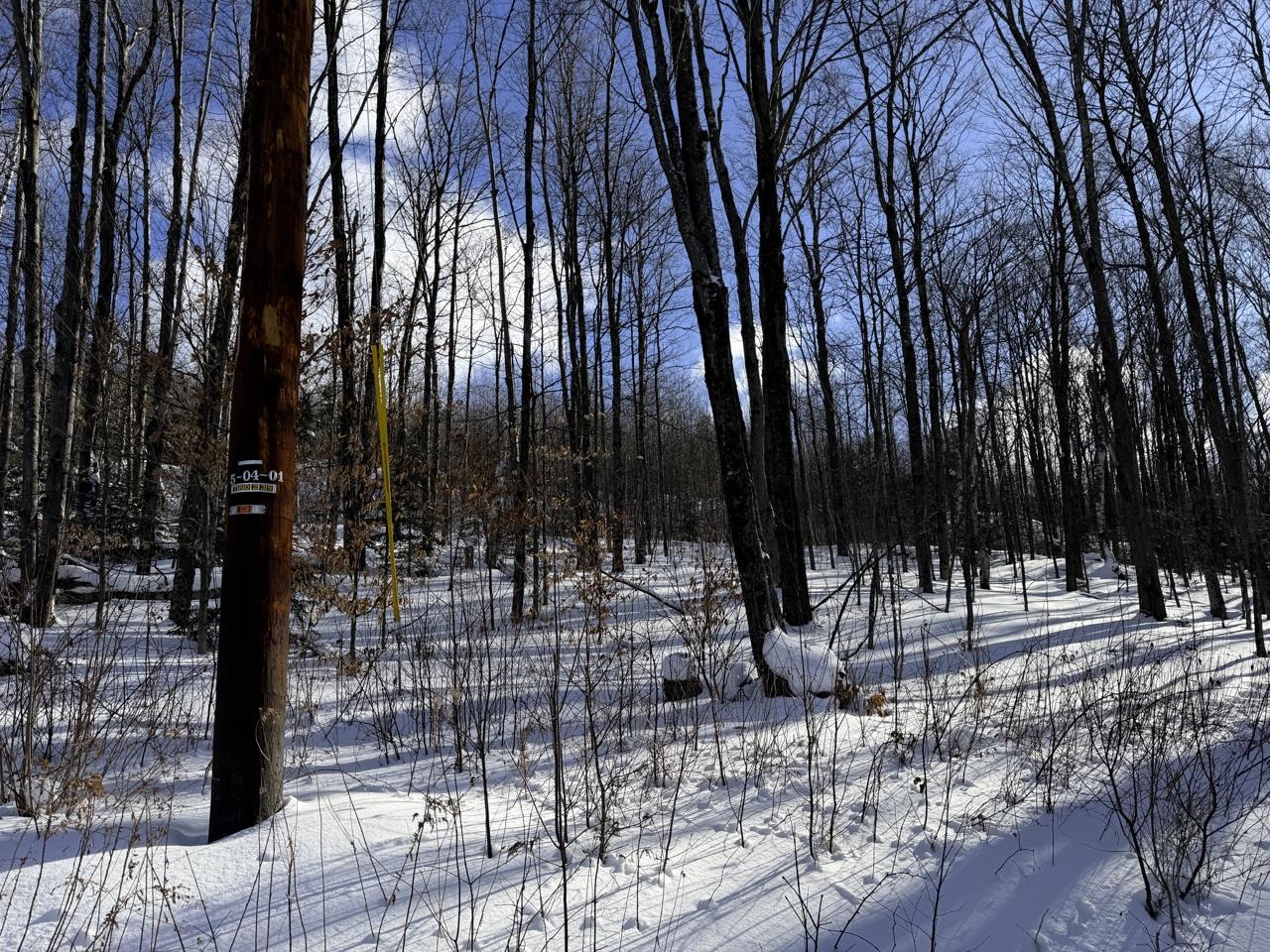 3 High View Road Warren, VT 05674 - Photo 19 of 59