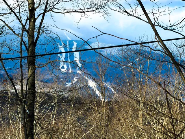 $99,500 | 3 High View Road, Warren, VT 05674