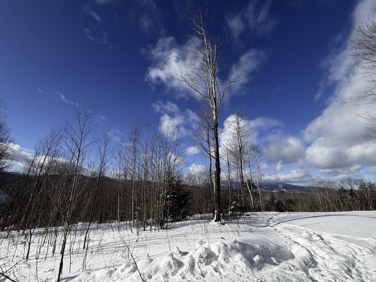 3 High View Road Warren, VT 05674 - Photo 2 of 59
