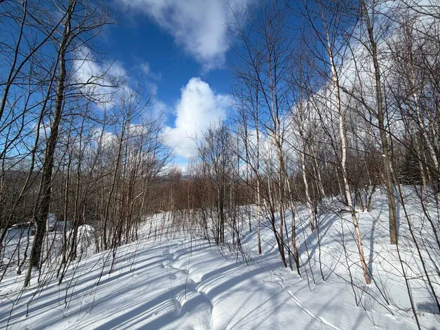 $99,500 | 3 High View Road, Warren, VT 05674