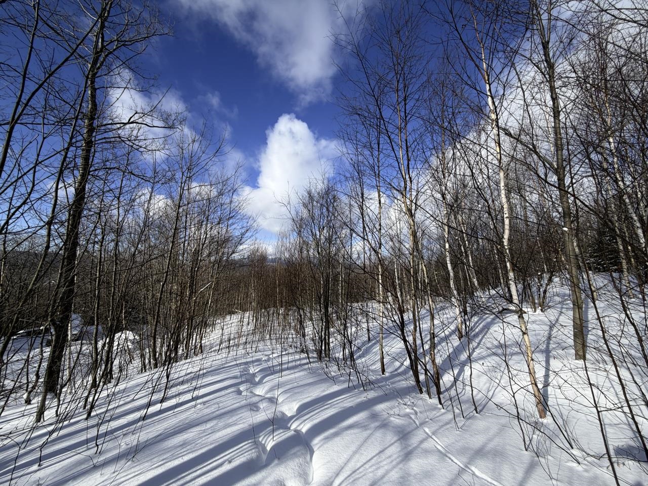 3 High View Road Warren, VT 05674 - Photo 21 of 59