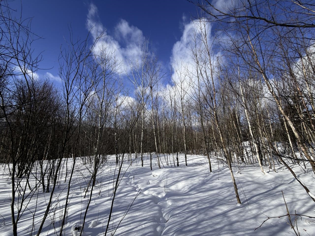 3 High View Road Warren, VT 05674 - Photo 22 of 59