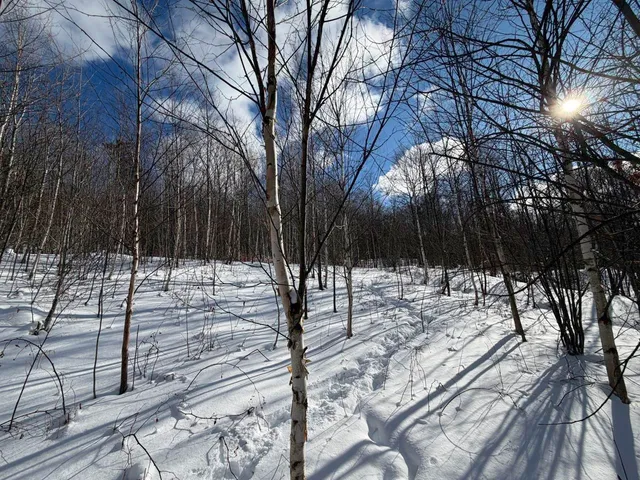 $99,500 | 3 High View Road, Warren, VT 05674