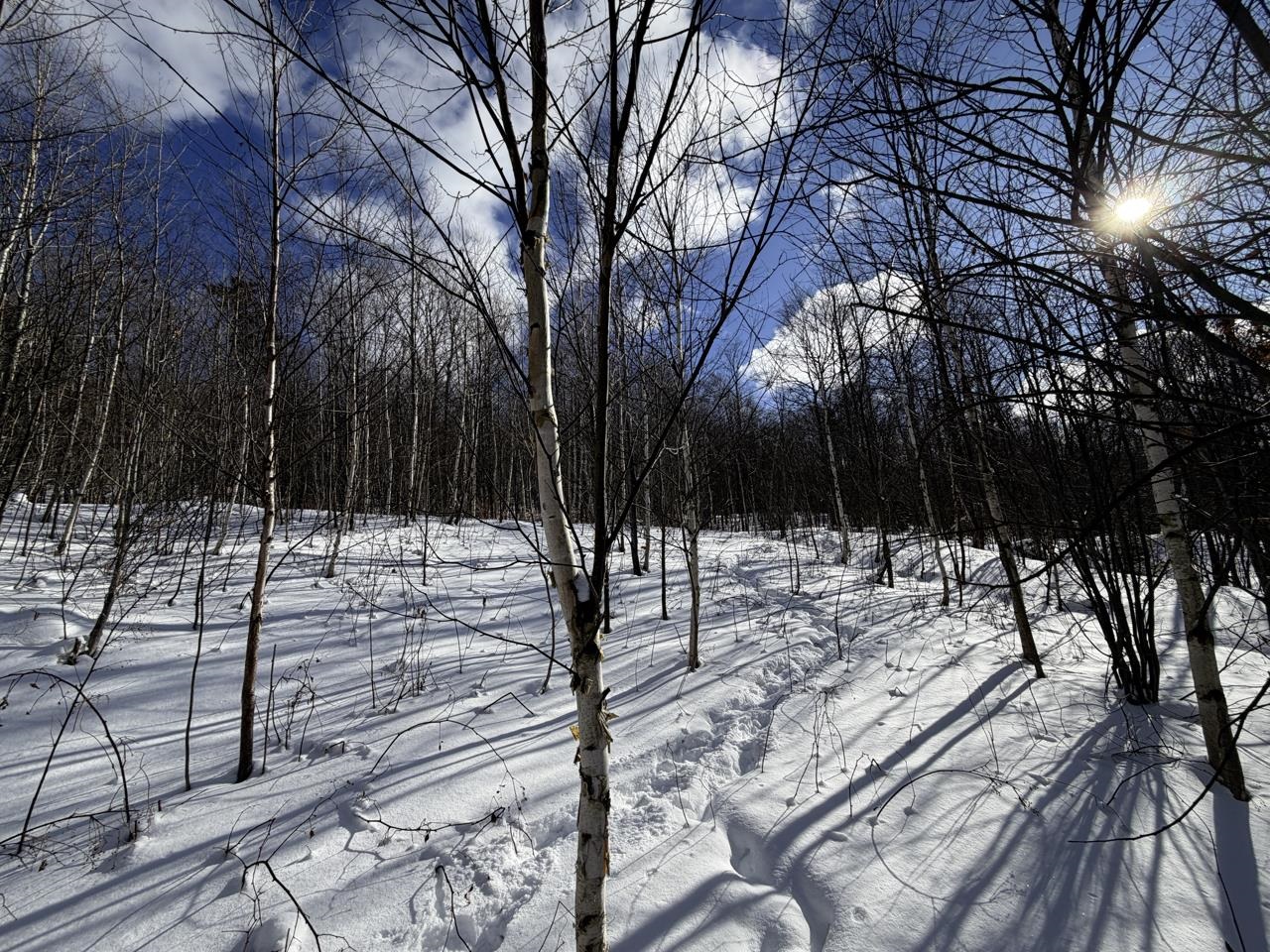 3 High View Road Warren, VT 05674 - Photo 23 of 59