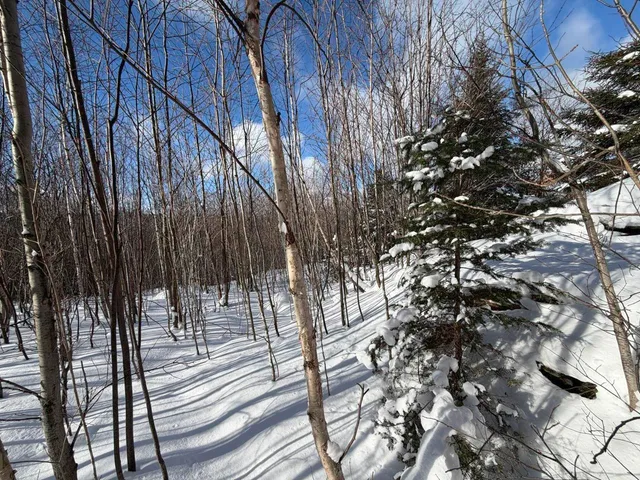 $99,500 | 3 High View Road, Warren, VT 05674