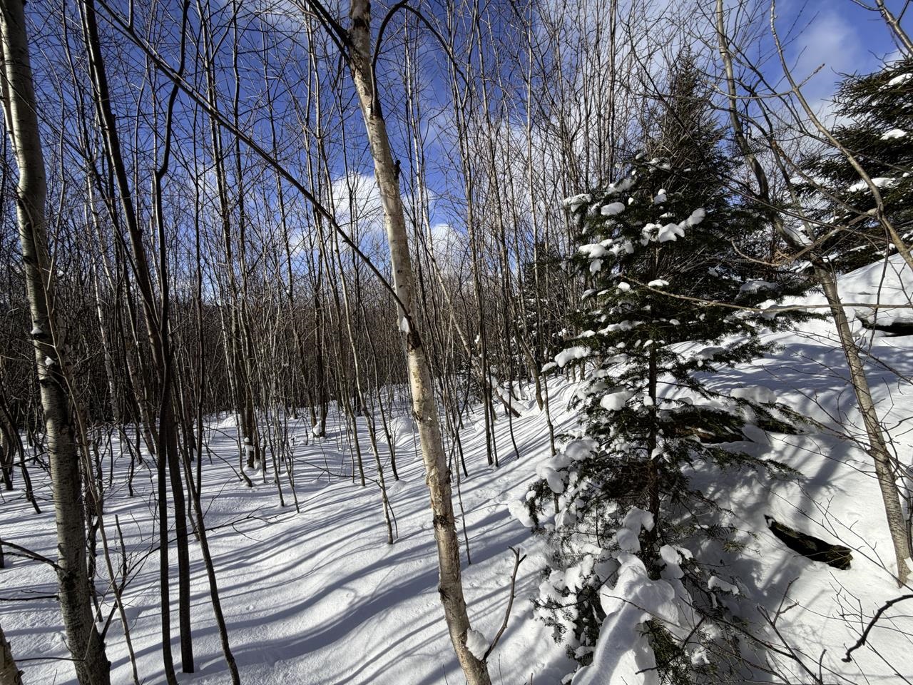 3 High View Road Warren, VT 05674 - Photo 24 of 59