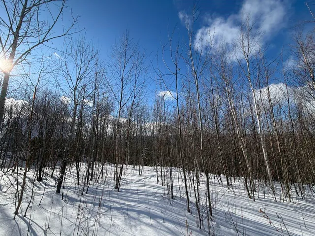 $99,500 | 3 High View Road, Warren, VT 05674