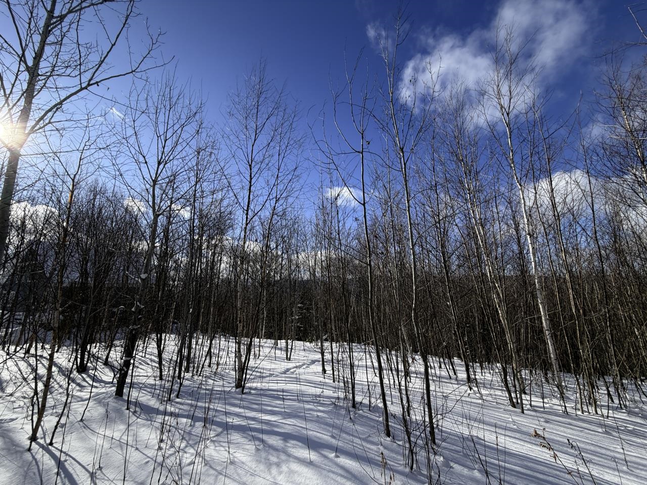 3 High View Road Warren, VT 05674 - Photo 25 of 59