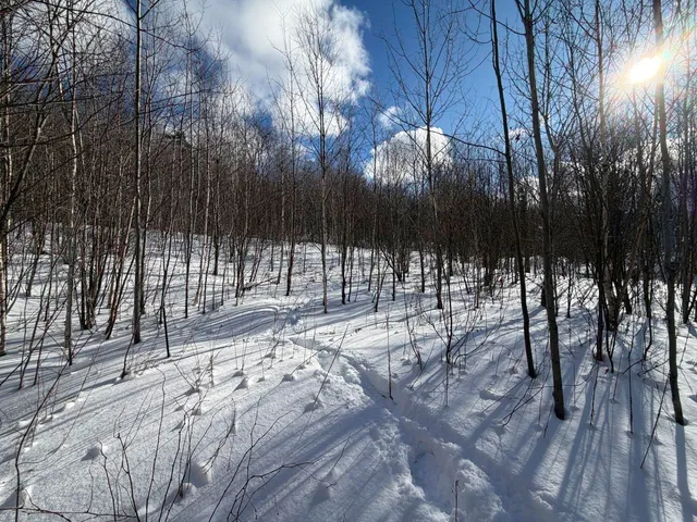 $99,500 | 3 High View Road, Warren, VT 05674