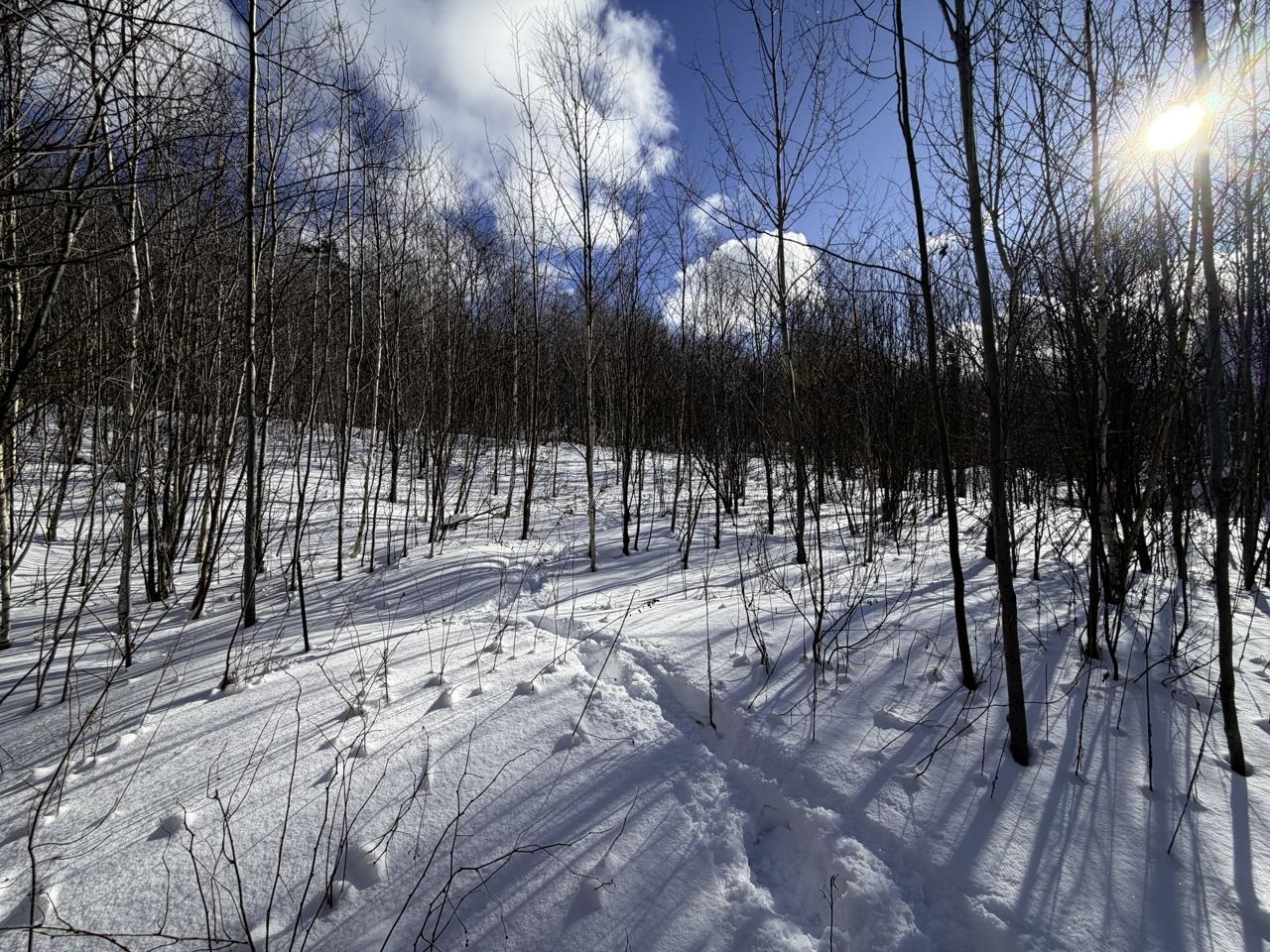 3 High View Road Warren, VT 05674 - Photo 26 of 59