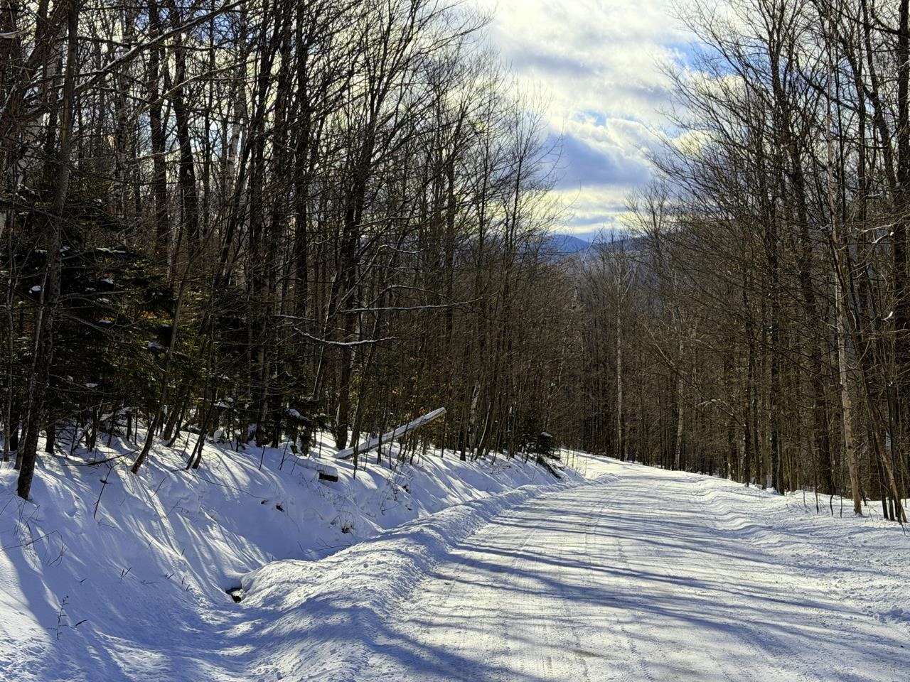 3 High View Road Warren, VT 05674 - Photo 28 of 59