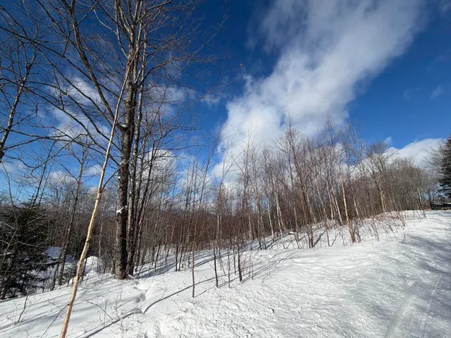 $99,500 | 3 High View Road, Warren, VT 05674