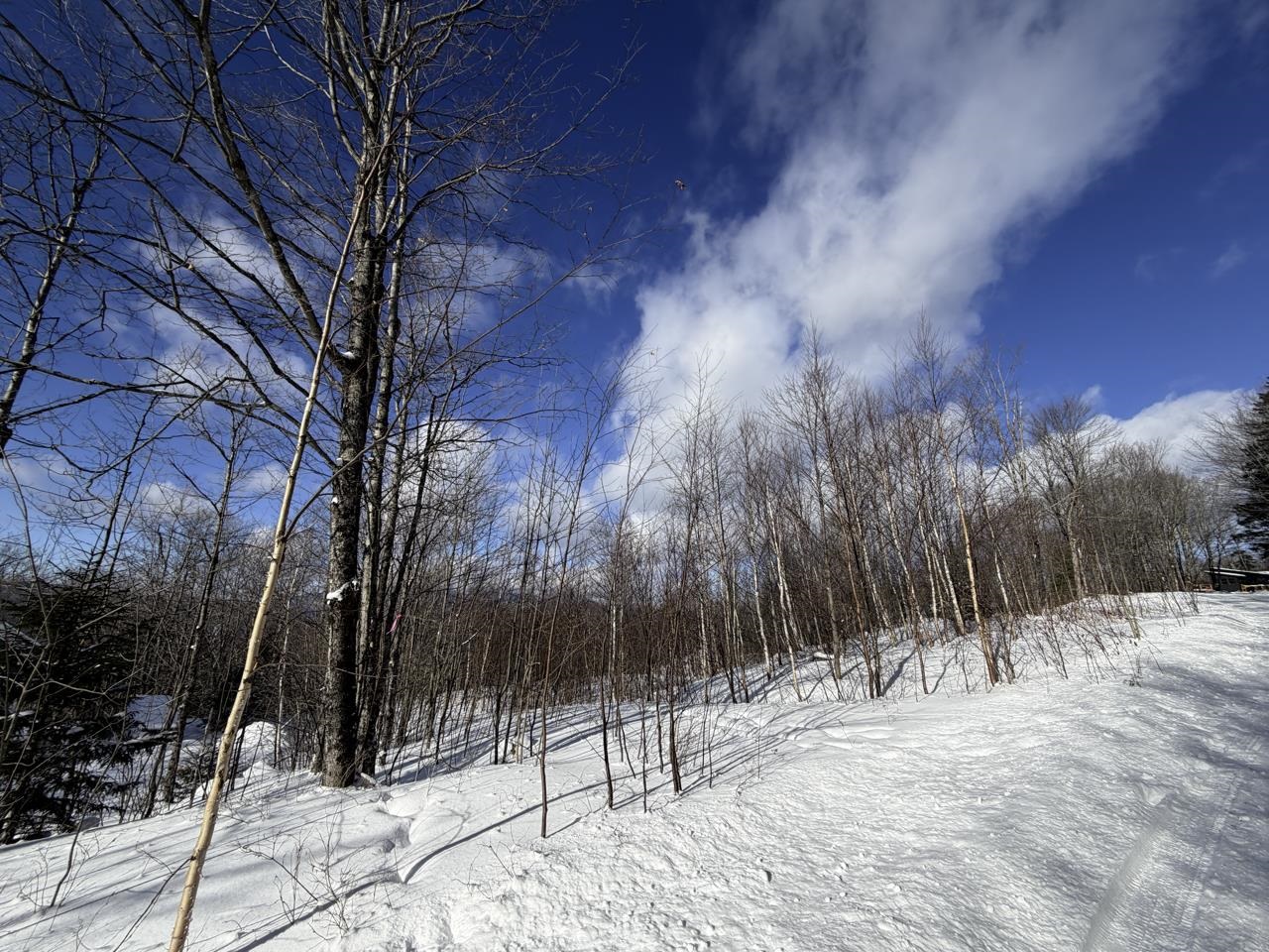 3 High View Road Warren, VT 05674 - Photo 3 of 59