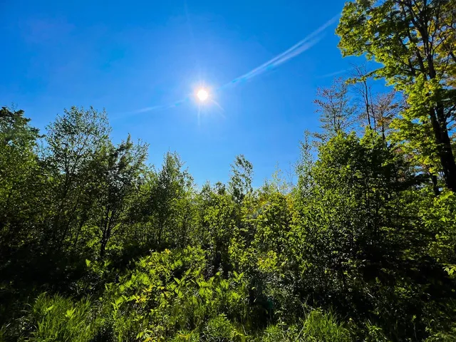 $99,500 | 3 High View Road, Warren, VT 05674