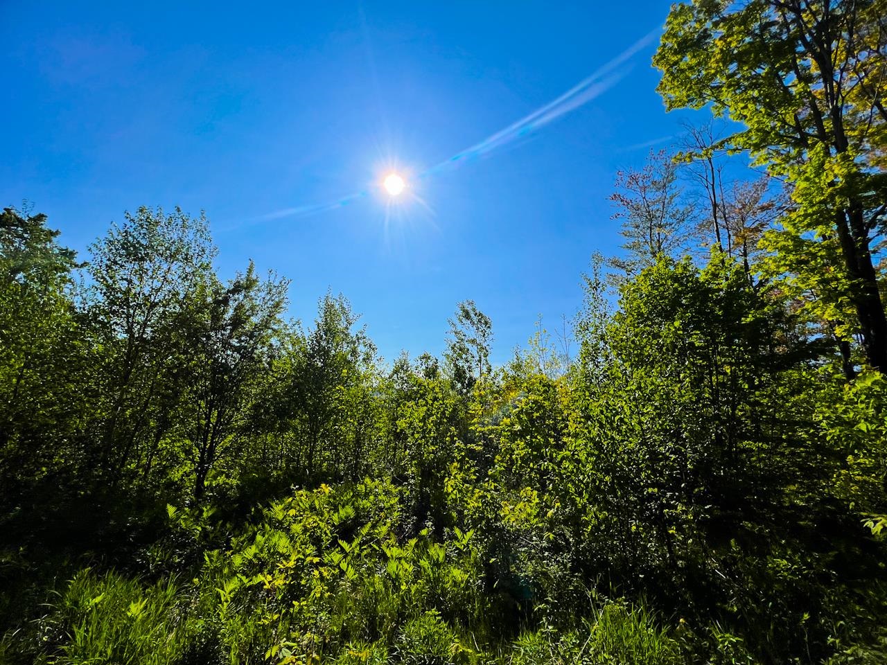 3 High View Road Warren, VT 05674 - Photo 36 of 59