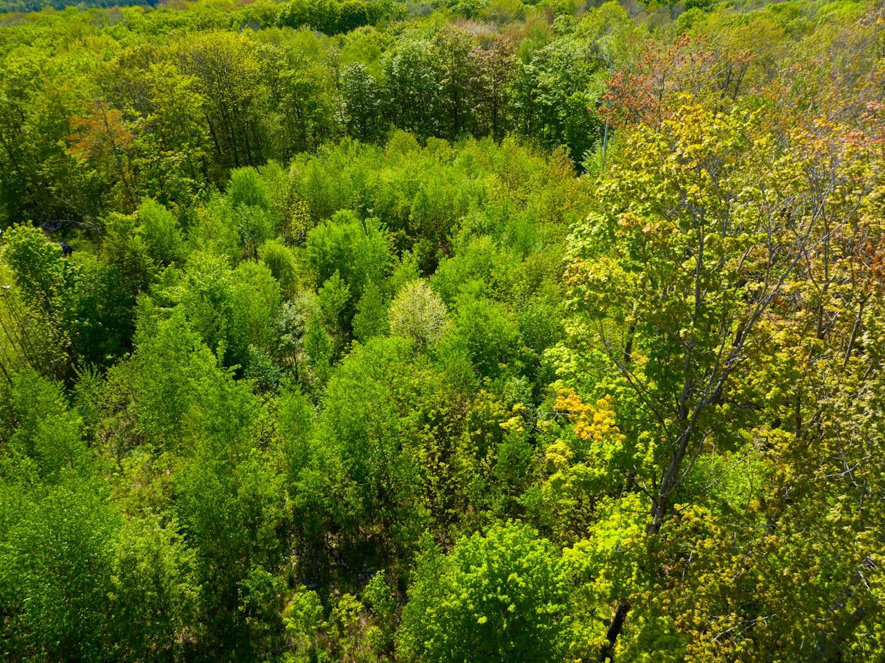 3 High View Road Warren, VT 05674 - Photo 38 of 59