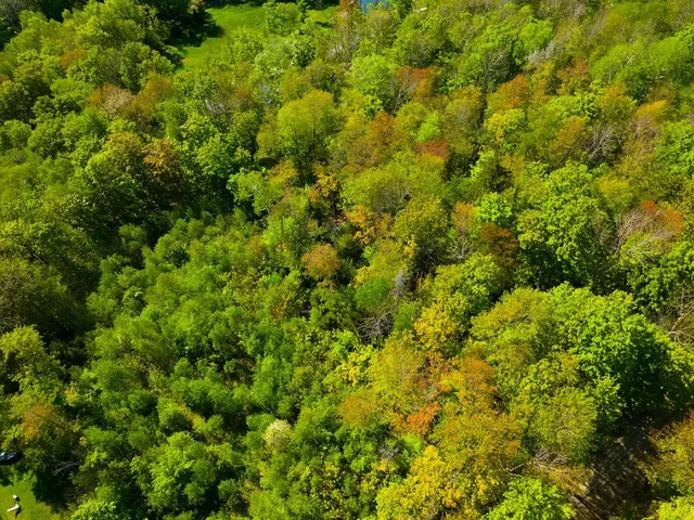 $99,500 | 3 High View Road, Warren, VT 05674