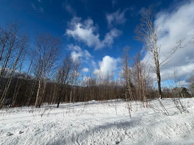 $99,500 | 3 High View Road, Warren, VT 05674